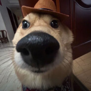 再玩找一车面包人弄你