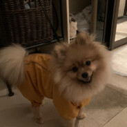 Bliznec - steam id 76561199376058950