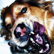 Серега бухучет