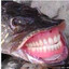 Fishhy