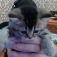 Лапотище мекурдо - steam id 76561199061949562