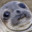 AppealSeal