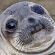 AppealSeal