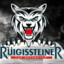 Ruigissteiner