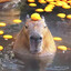 Avatar of Capybara by Daylight