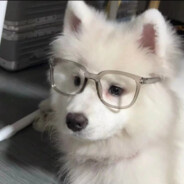 新手出征寸草不生