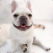 我家法斗叫馒头