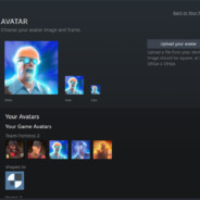 Player Avatar