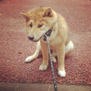 我的滑板鞋开始摩擦了