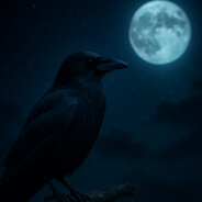 Jackdaw