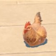 курочка cockster