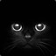 Cats_EyeXYZ-kor-