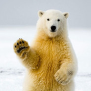 运输队长常凯申