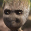 Groot