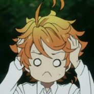 我真是萌新别骂我