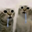 i miss shots