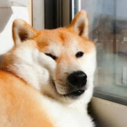 春风精灵提醒您，现在是起飞时间