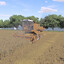✰•Agro_Fortschritt_Team•