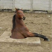 ПОЕХАВШИЙ
