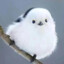 NUOMI
