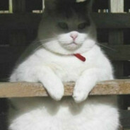 翻斗花园壮壮妈