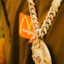7anchous