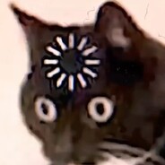 猫有什么坏心思