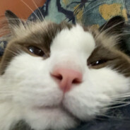 马枪怎么了嘛，我又不是挂