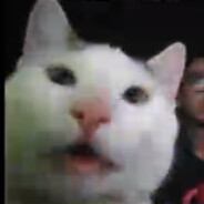 I miss Píčo Mikeeeš