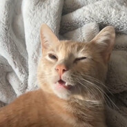 Zzz
