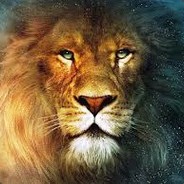 ZaNy csgolive.com csgofast.com