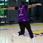 拉灯是我干掉的