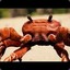 Crabycrab