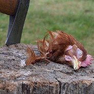 Myklos - steam id 76561198001422045