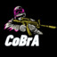 CoBrA