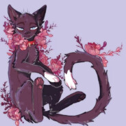 磨爪子的小恶兽