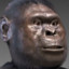 Australopithecus