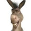 DONKEY