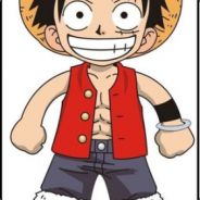 13135688782 武汉SN