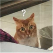 一只昏头的小番茄丶