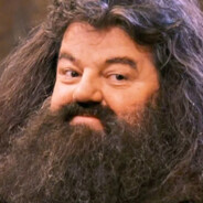 You're a Wizard Harry