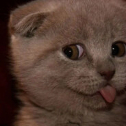 晴天不是下雨天