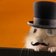 Old Man Hammy - steam id 76561197960959847