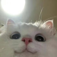 夹不住屎被护工抽鼻窦