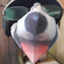 jiffy_jaff