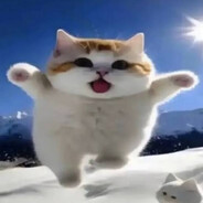 sinopluu
