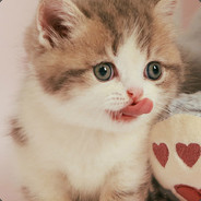 不上士兵不睡觉