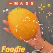 楊先生的小娇妻吖