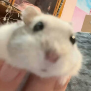 人形电脑天使心