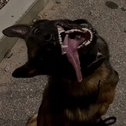 ... - steam id 76561199229771955